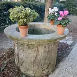 בית הארחה Garden